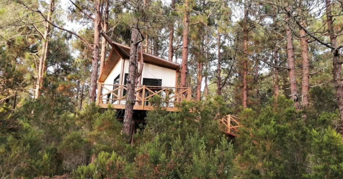 Casa Can Lia es uno de los alojamientos más singulares de Tenerife./ REDES.