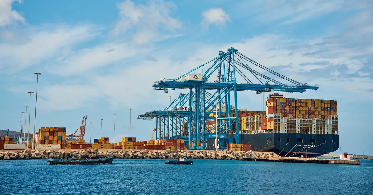 Grúas de OPSCA / PUERTO DE LAS PALMAS