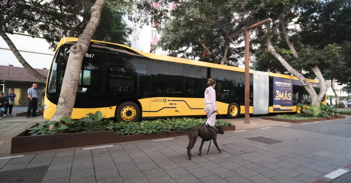 Una imagen de Guaguas Municipales. / EFE