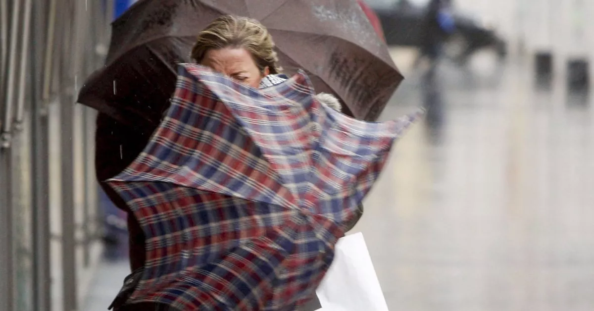 Imagen de viento fuerte / EFE 