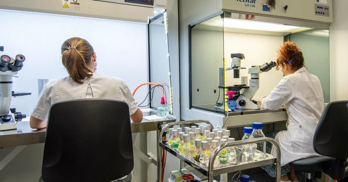 Investigadoras / ULPGC