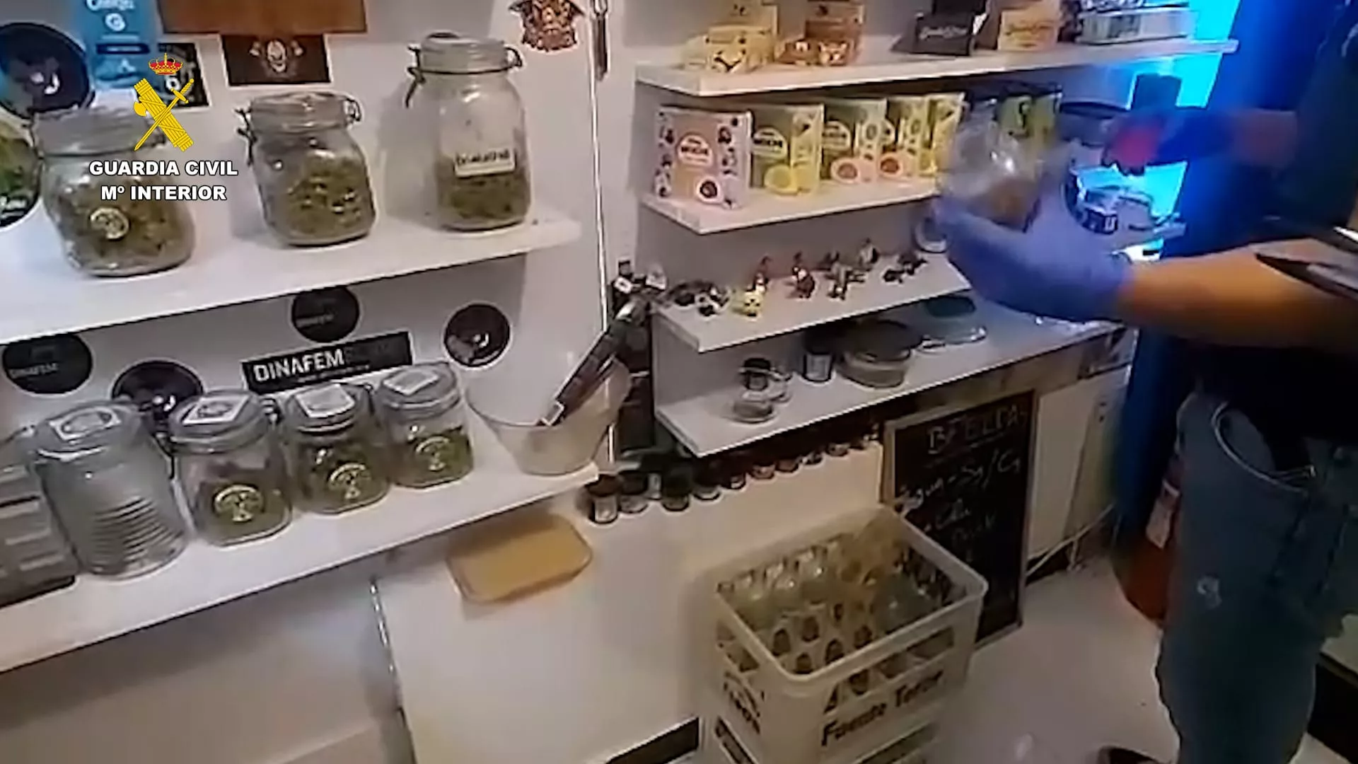 Desmantelamiento de una asociación cannábica en Morro Jable./ CEDIDA Desmantelamiento de una asociación cannábica en Morro Jable./ CEDIDA