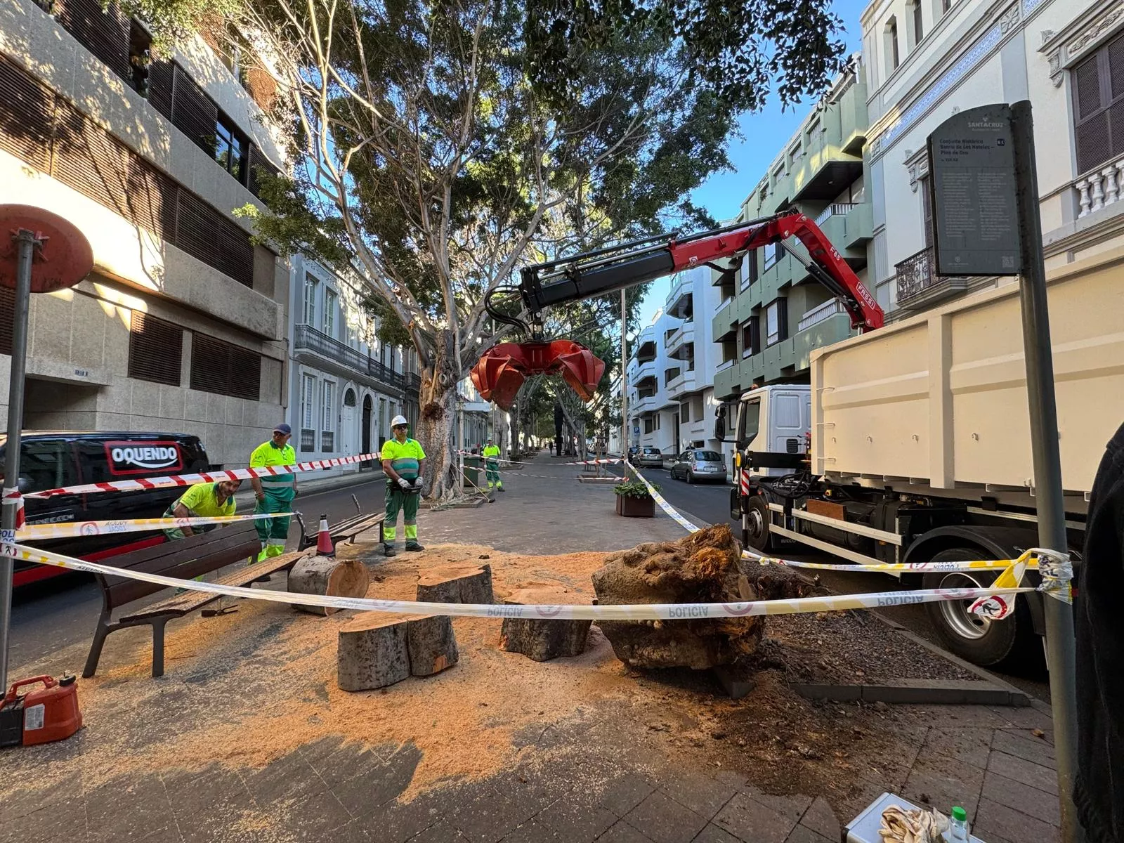Caída del árbol en la avenida Veinticinco de Julio de Santa Cruz de Tenerife. / AYUNTAMIENTO DE SANTA CRUZ DE TENERIFE