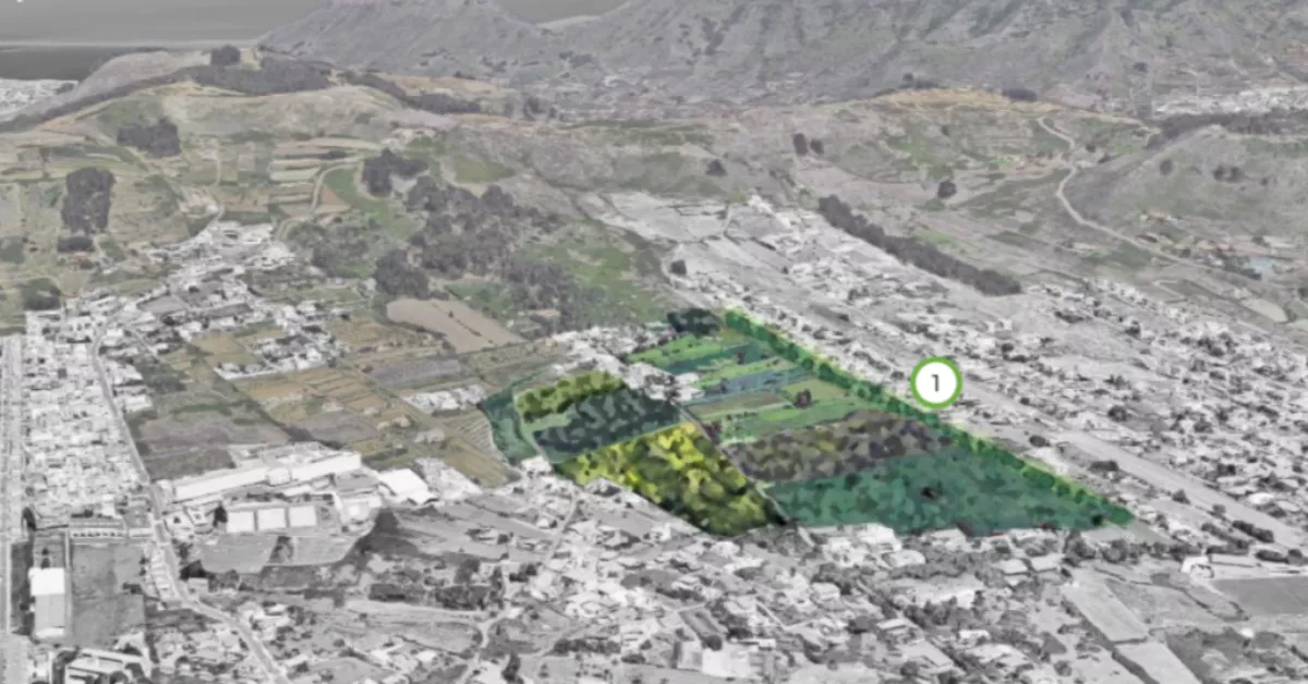 Proyección del proyecto de bosque frutal comestible en La Vega./ AYTO. LA LAGUNA