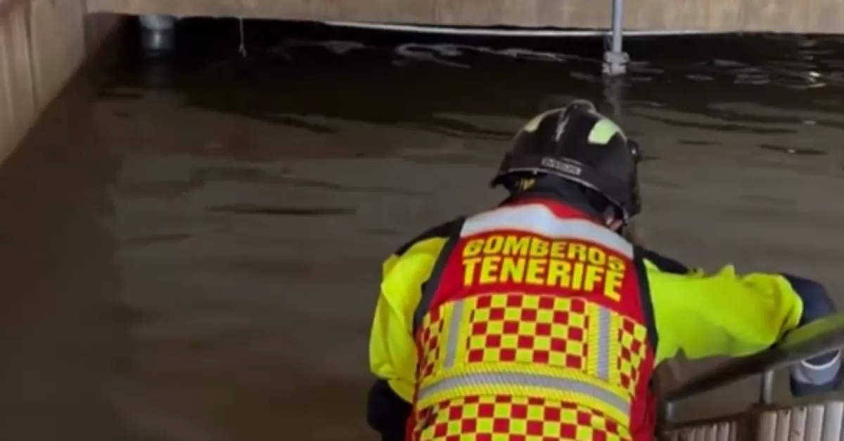 Un bombero de Tenerife realizando su labor en Valencia. / GOBIERNO DE CANARIAS