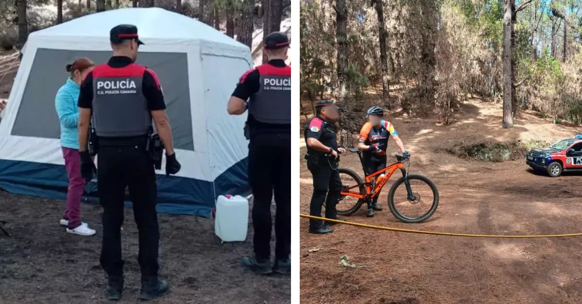 La Policía Canaria durante una inspección en los montes de Tenerife y Gran Canaria. / GOBIERNO DE CANARIAS
