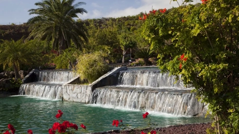 Palma Jardin1 Palma Jardin1