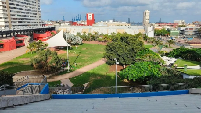 El parque del Estadio Insular visto desde la Grada Curva, con los árboles y palmeras que serán afectados por le escenario del Carnaval. / AH El parque del Estadio Insular visto desde la Grada Curva, con los árboles y palmeras que serán afectados por le escenario del Carnaval. / AH