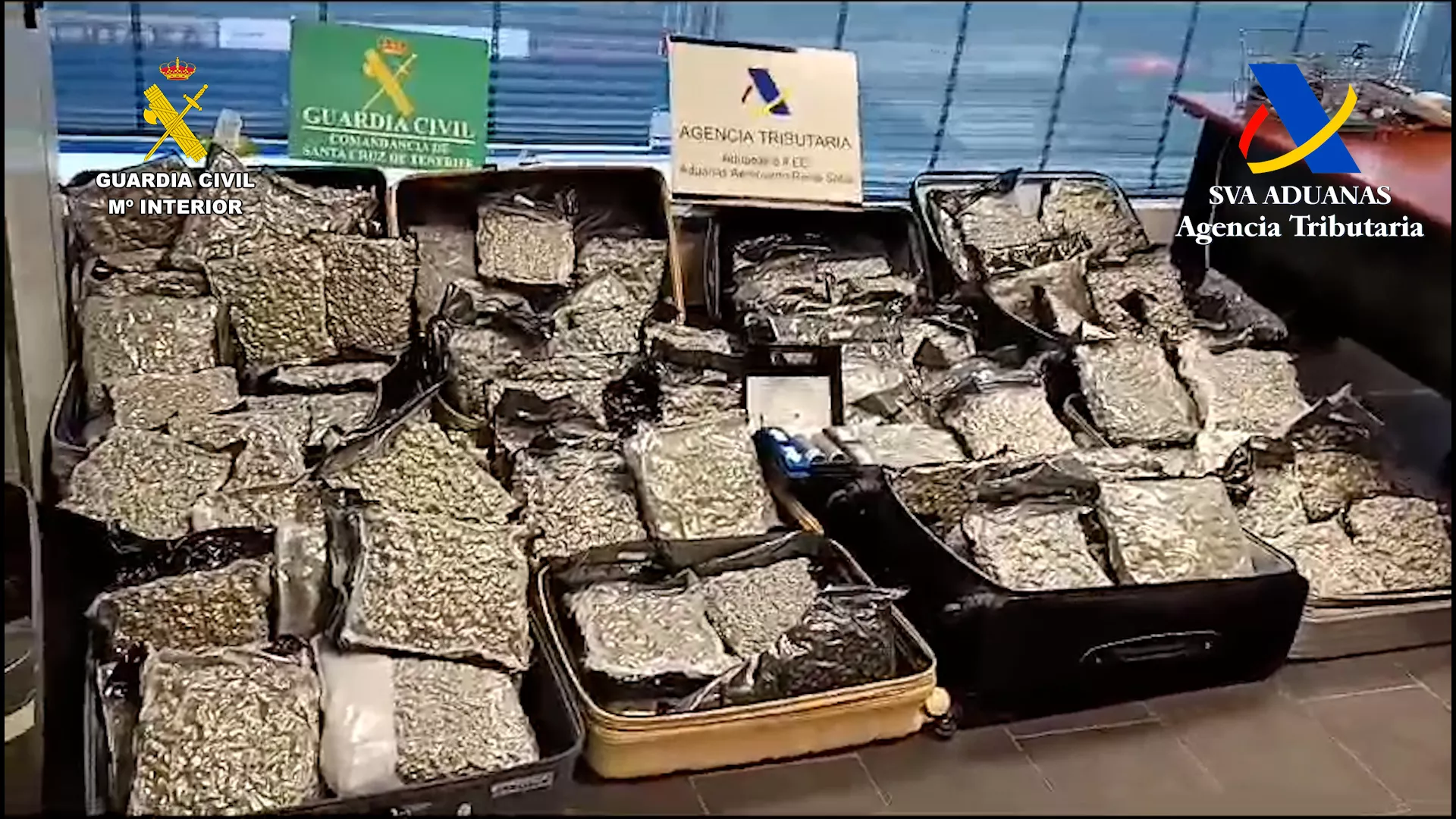Marihuana incautada en Tenerife Sur./ CEDIDA