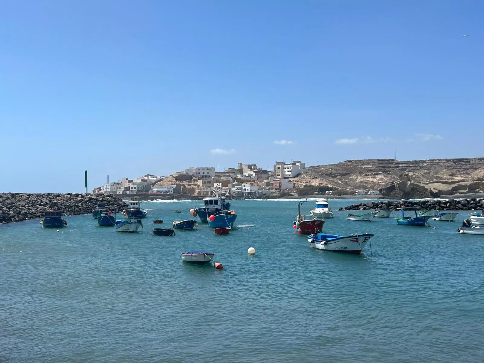 Parte de la flota pesquera de Canarias./ CEDIDA