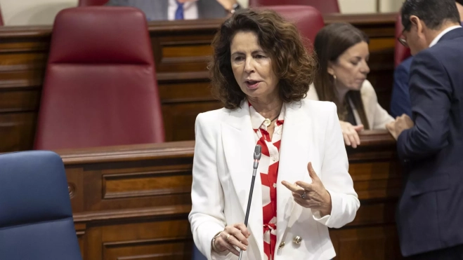 La consejera de Hacienda del Gobierno de Canarias, Matilde Asián./ EFE