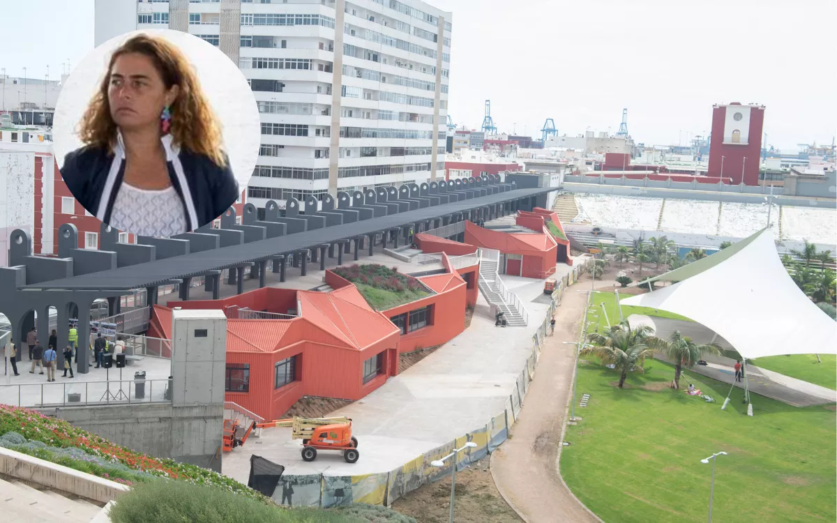 Parques y Jardines, según afirmó la concejala Gemma Martínez, estudiará el trasplante de árboles en el Estadio Insular "ejemplar por ejemplar". / AH