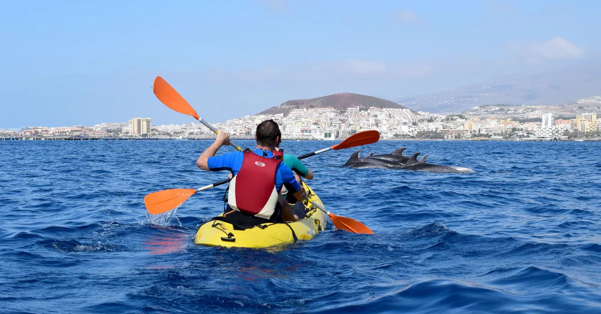 Dos personas avistando cetáceos con kayaks en el sur de Tenerife./ XPLORE TENERIFE Dos personas avistando cetáceos con kayaks en el sur de Tenerife./ XPLORE TENERIFE