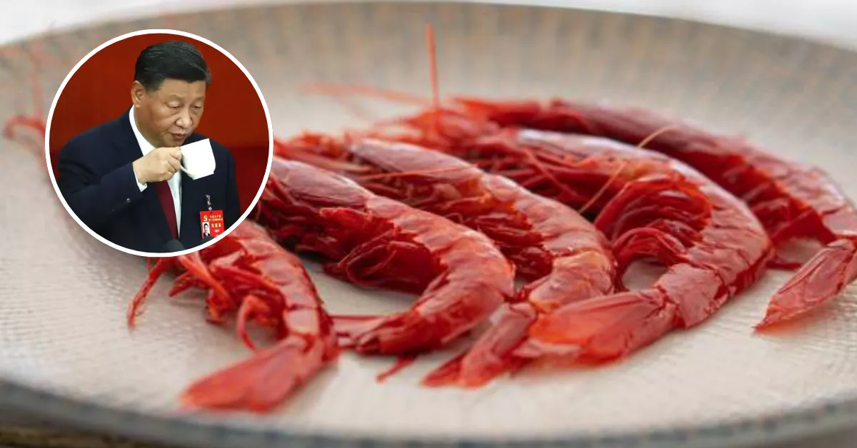 Imagen de los carabineros y Xi Jinping / MONTAJE AH