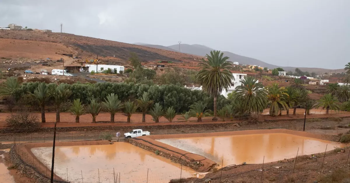 En la imagen, gavias llenas de agua de lluvia en el Barranco de los Bueyes, en la localidad de Antigua (Fuerteventura). / EFE - Carlos De Saá