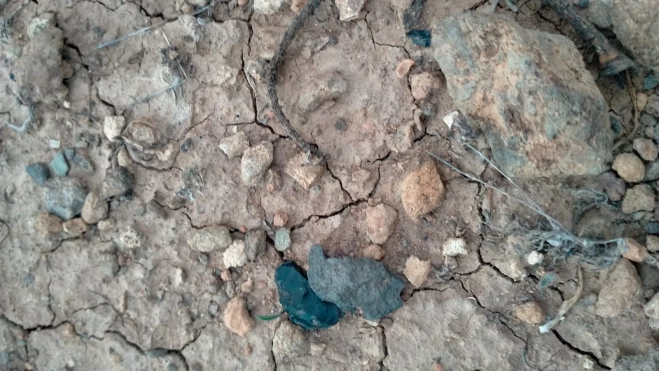 WhatsApp Image 2024 11 14 at 16.29.08 (1)