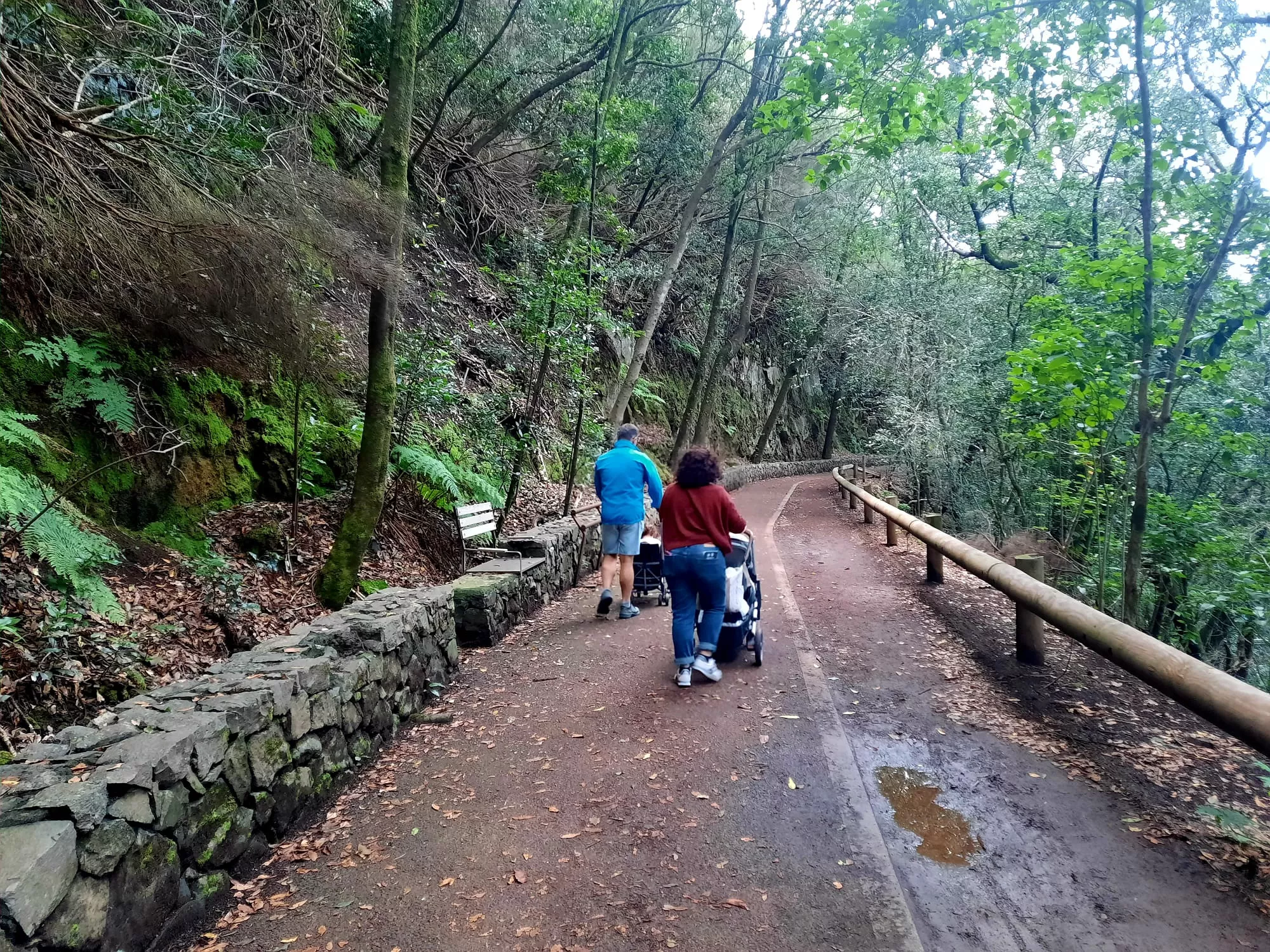 El sendero dispone de un tramo de aproximadamente un kilómetro adaptado para sillas de ruedas o carritos de paseo de niños./ AH.