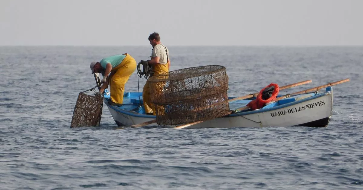 Imagen de pescadores / EFE