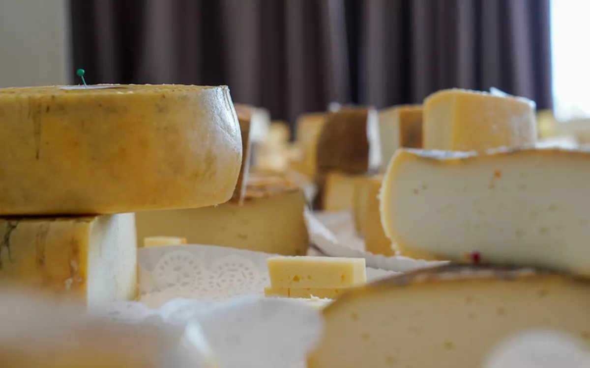 Muestra de quesos grancanarios que participaron en los World Cheese Awards 2024. / AH