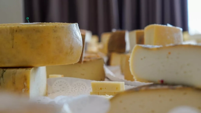 Muestra de quesos grancanarios que participaron en los World Cheese Awards 2024. / AH