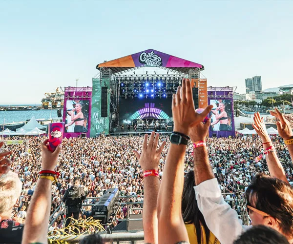 Cook Music 2024 / CEDIDA