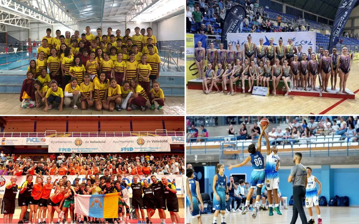 Deportes prevé llevar al Parlamento la ley canaria de mecenazgo a finales de 2025 para incrementar la inversión privada en proyectos sin ánimo de lucro. / AH 