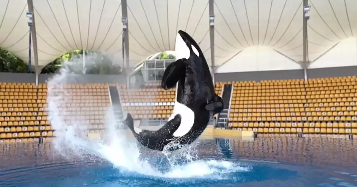 Keto en e Loro Parque / LORO PARQUE