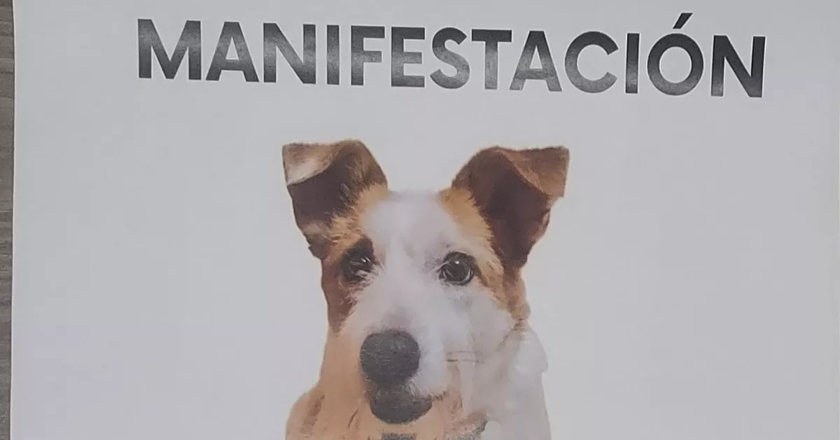 Manifestación convocada por la muerte del perro que falleció en plena calle de Santa Cruz en octubre. / FACEBOOK