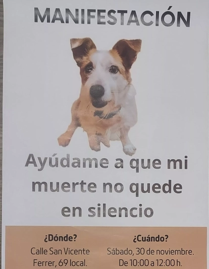 Manifestación convocada por la muerte del perro que falleció en plena calle de Santa Cruz en octubre. / FACEBOOK Manifestación convocada por la muerte del perro que falleció en plena calle de Santa Cruz en octubre. / FACEBOOK