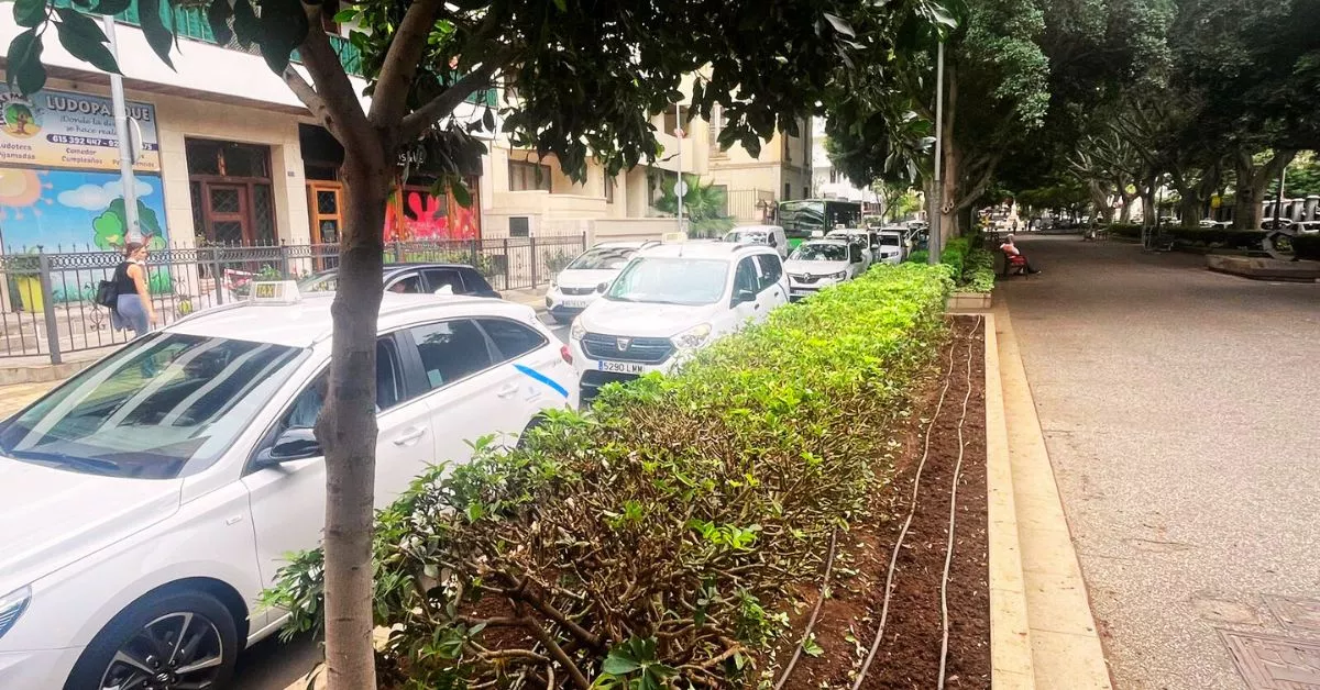 Manifestación del sector del taxi en Santa Cruz de Tenerife en 2024 / AH - BELA CABRERA