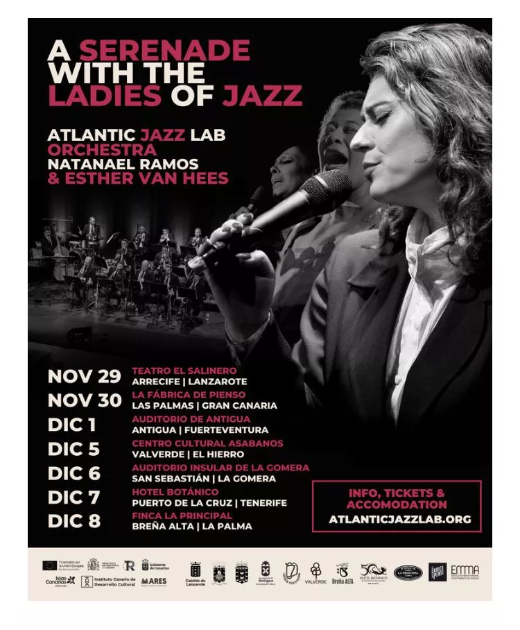 Cartel del festival #NOWINTERFEST./ CEDIDA