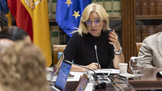 La consejera de Sanidad del Gobierno de Canarias, Esther Monzón, en comisión parlamentaria./ EFE/MIGUEL BARRETO La consejera de Sanidad del Gobierno de Canarias, Esther Monzón, en comisión parlamentaria./ EFE/MIGUEL BARRETO