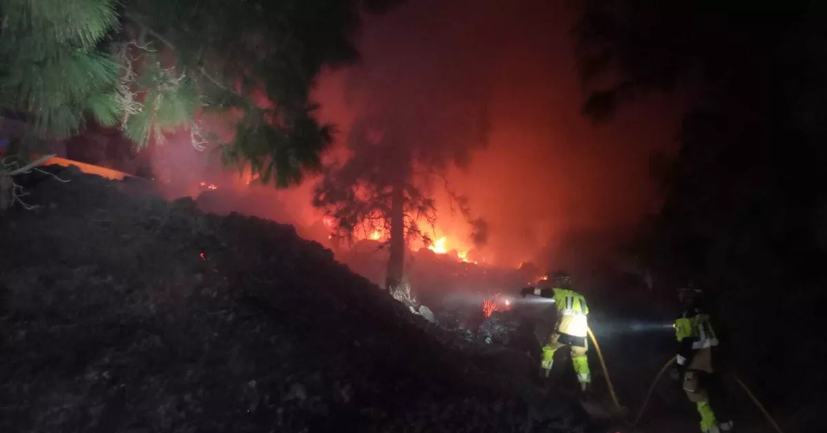 Incendio de varios pinos en Arafo, Tenerife. / BOMBEROS DE TENERIFE