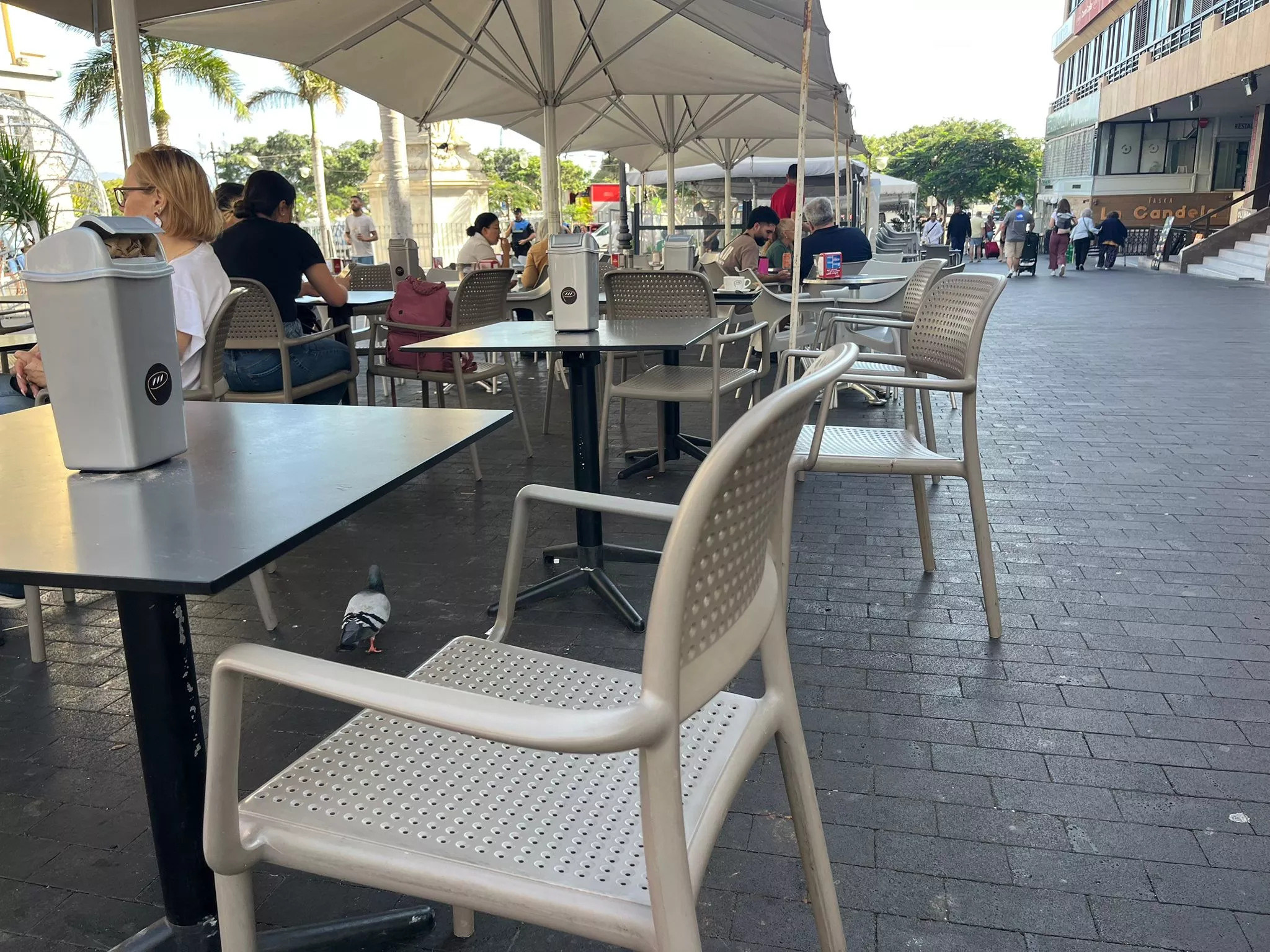 Un local en Santa Cruz que sí cuenta con papeleras en las mesas / AH / BELA CABRERA