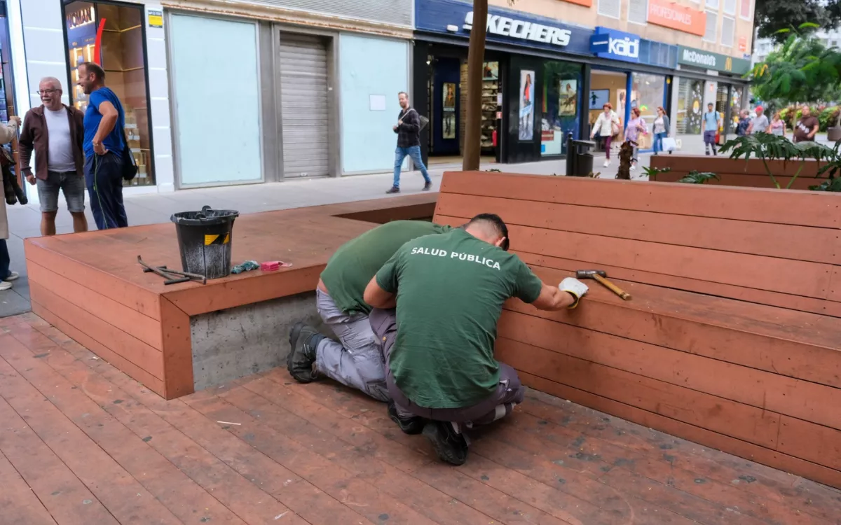 Las Palmas intensifica la desratización en Mesa y López mientras las ratas proliferan en otras zonas. / AH