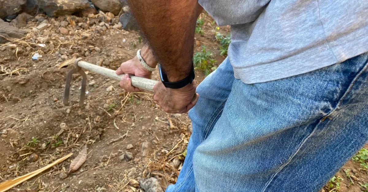 Un agricultor trabajando en Canarias. / ATLÁNTICO HOY