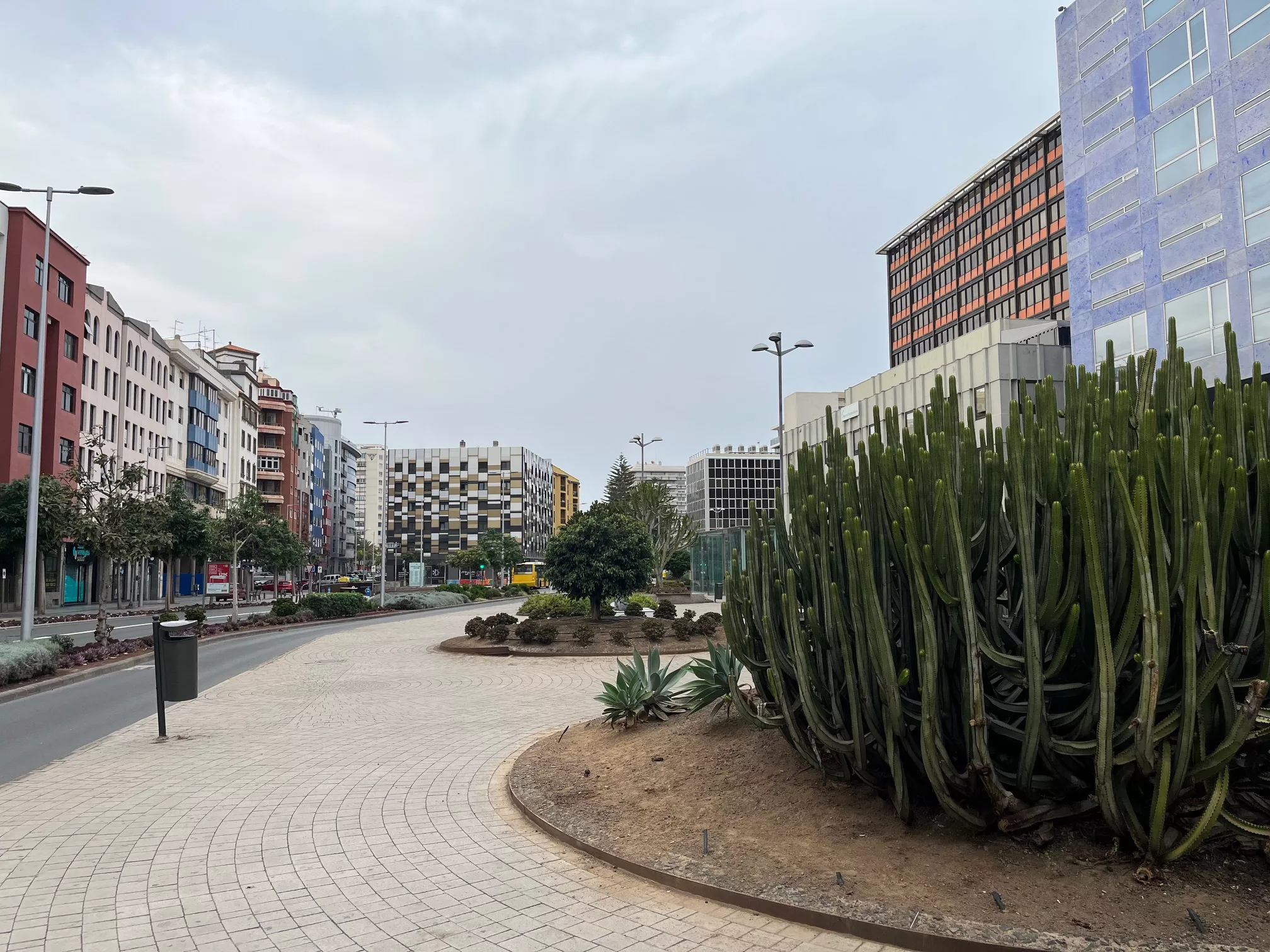 Imagen de la zona de oficina de la calle Venegas, en Las Palmas de Gran Canaria un domingo a mediodía