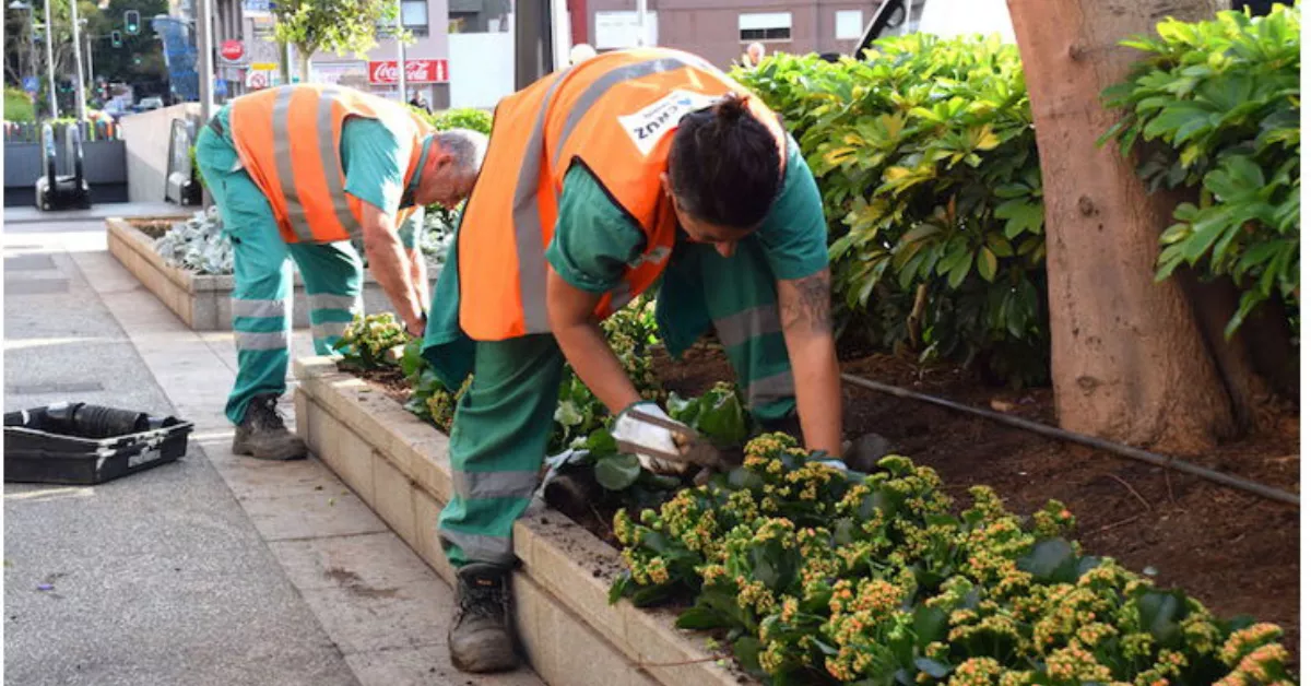 Jardineros de FCC-Acciona, la UTE concesionaria del contrato de parques y jardines en Santa Cruz de Tenerife./ INTERSINDICAL