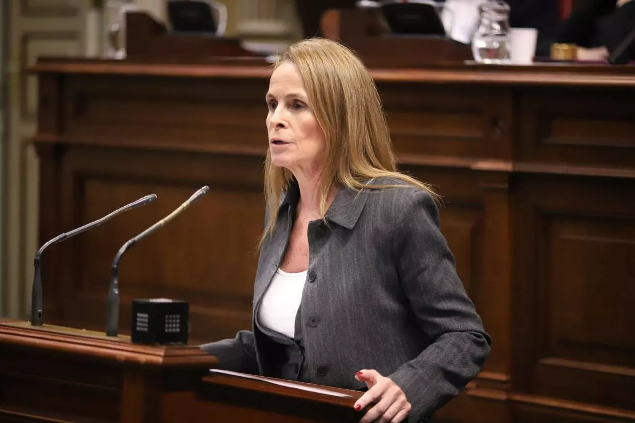 La portavoz del Grupo Popular en el Parlamento de Canarias, Luz Reverón./ CEDIDA