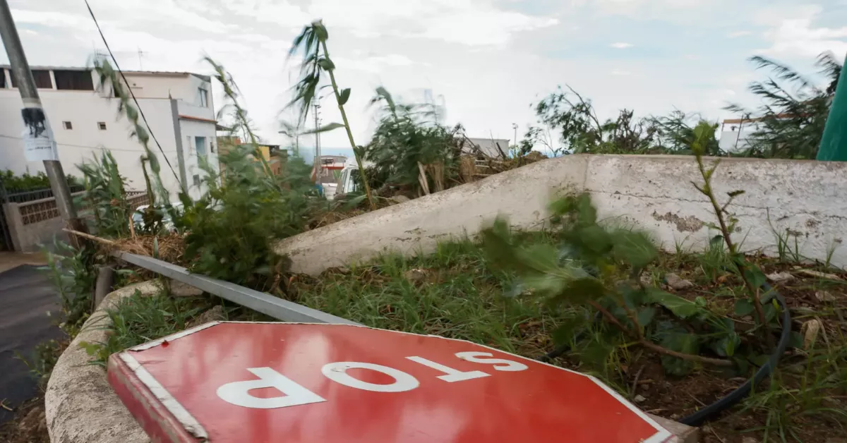 Imagen de efectos de Dorothea en Canarias / EFE