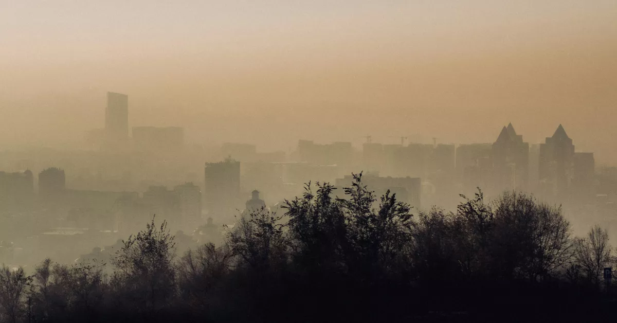 Imagen de calima / PEXELS