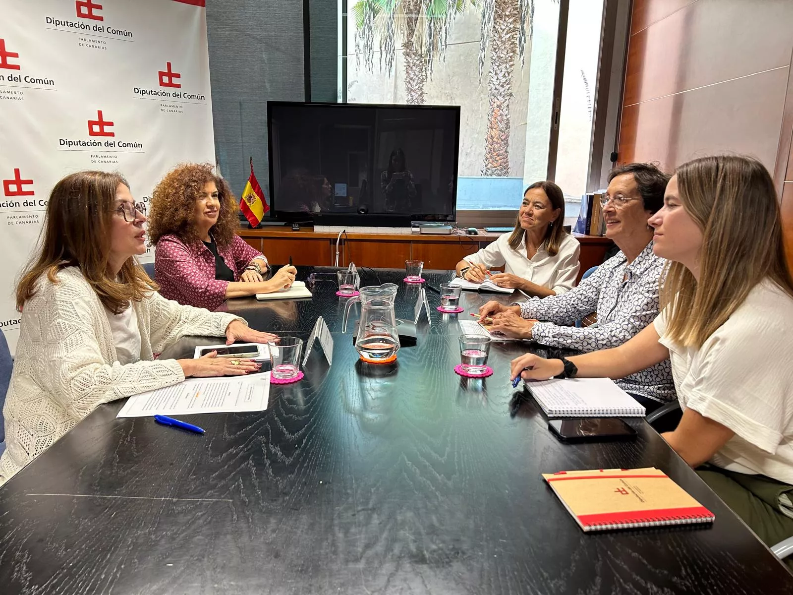La Diputada del Común, Lola Padrón, se reune con las representantes de UNICEF Canarias./