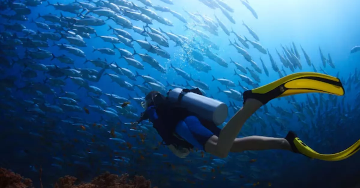 Imagen de una persona que bucea / FREEPIK