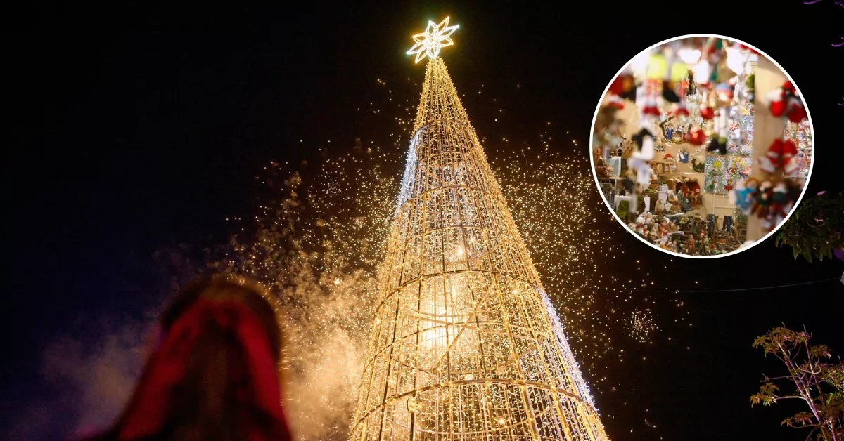 Imagen de Santiago Segura / EFE 