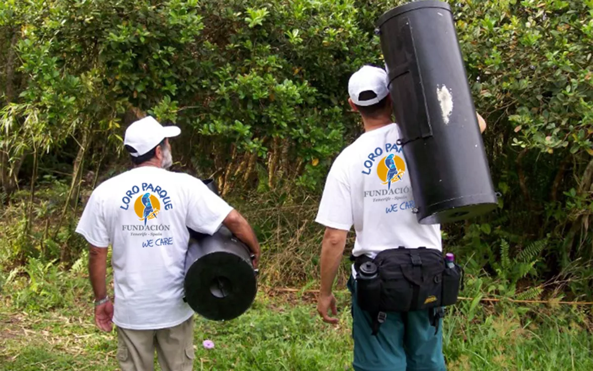 Loro Parque Fundación invertirá 1.745.000 dólares en programas de protección de la naturaleza en 2025. / AH