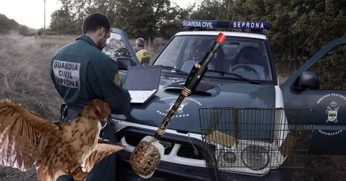 Animales y artilugios incautados por el Seprona en Vega de San Mateo./ MONTAJE AH