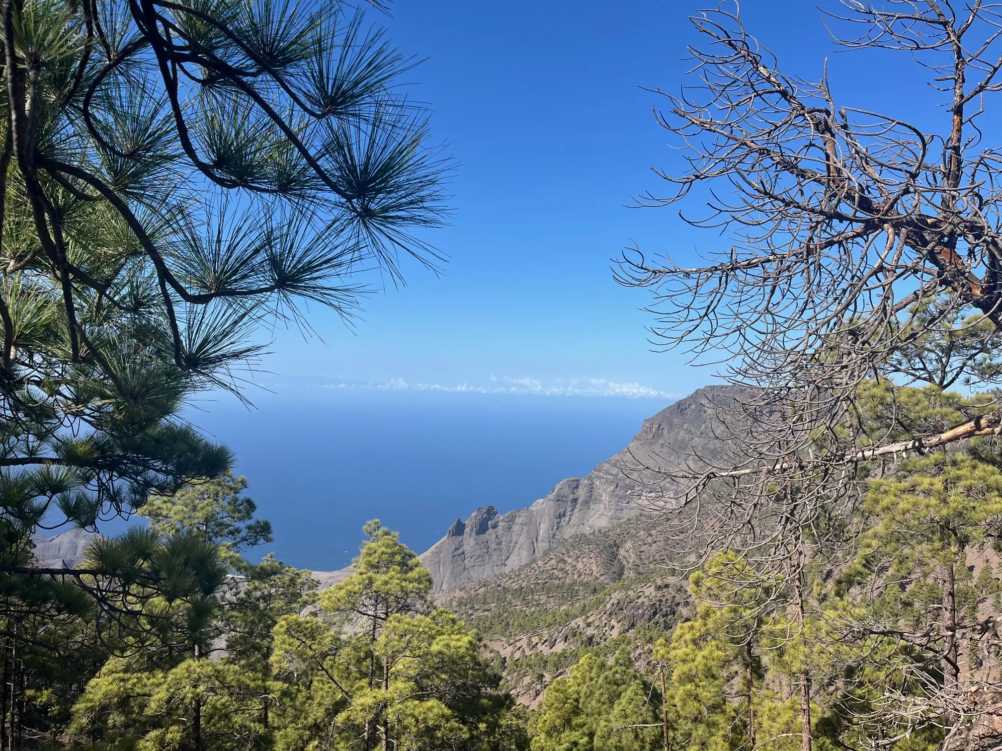 Acantilado de Faneque fotografiado desde la zona de Tirma. / AH