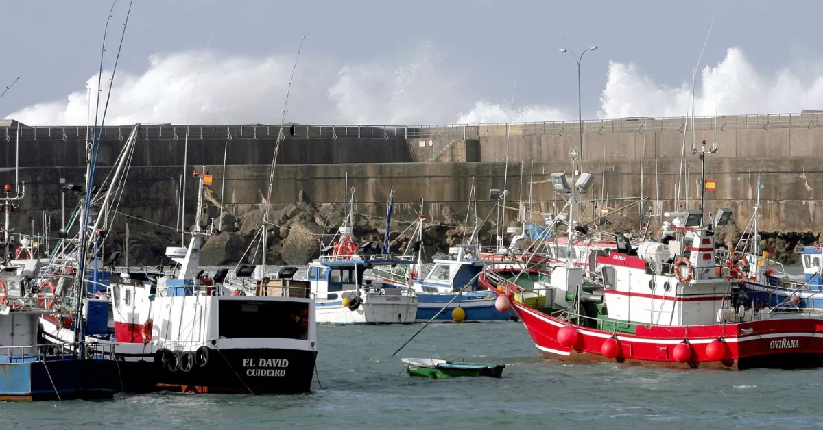Flota pesquera / EFE