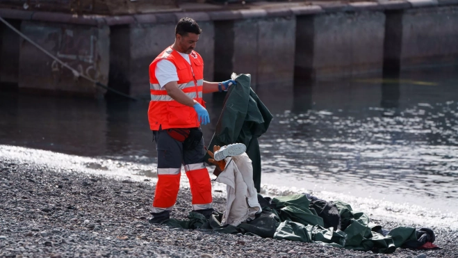 f87372103e0bf8b15b39b48dca781f3595cf6886w