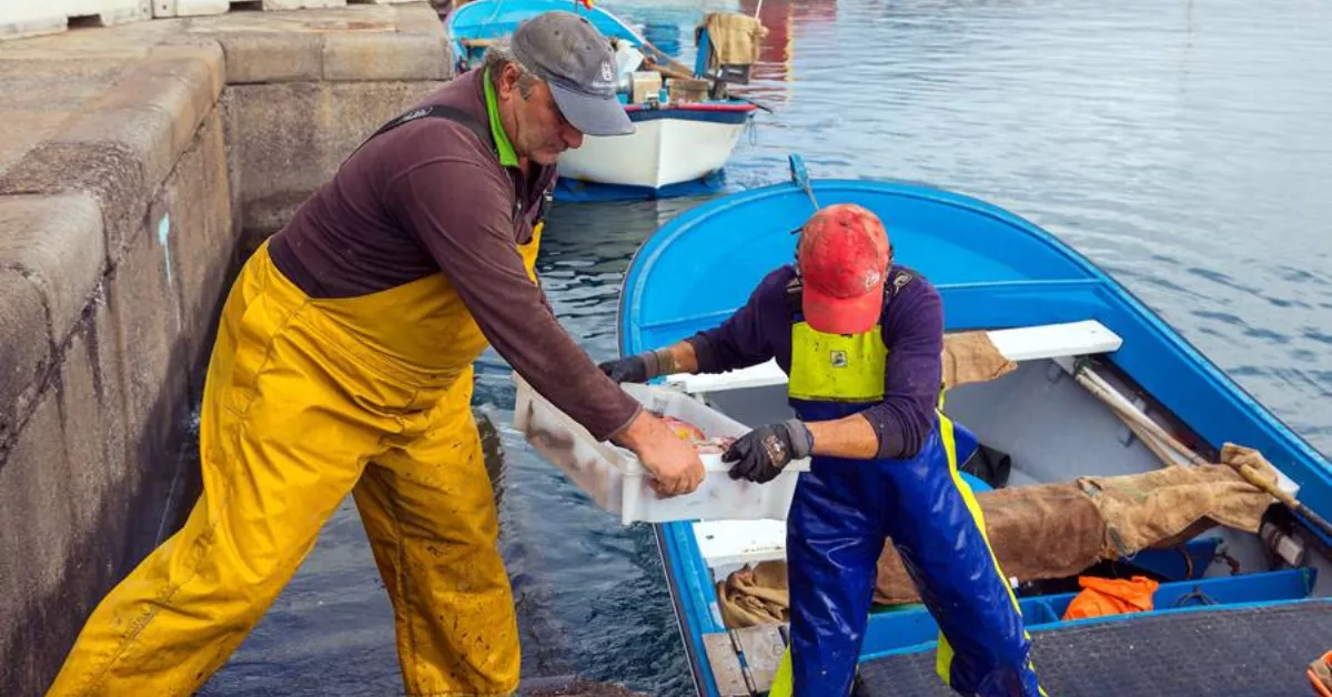 Dos pescadores descargan el pescado capturado / AH